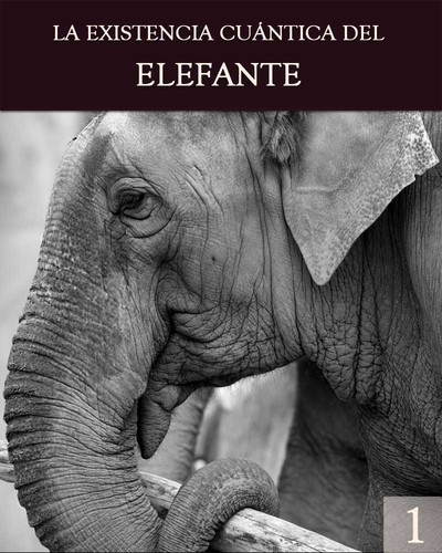 Full la existencia cuantica del elefante parte 1