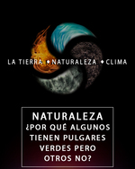 Feature thumb naturaleza por que algunos tienen pulgares verdes pero no otros la tierra naturaleza y clima