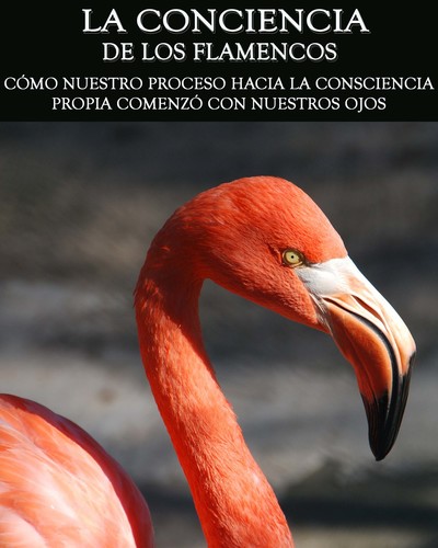 Full como nuestro proceso hacia la consciencia propia comenzo con nuestros ojos la conciencia de los flamencos