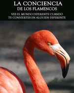 Feature thumb ves el mundo diferente cuando te conviertes en alguien diferente la consciencia de los flamencos