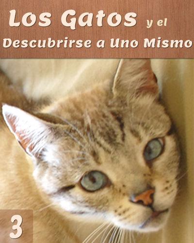 Full los gatos y el descubrirse a uno mismo parte 3