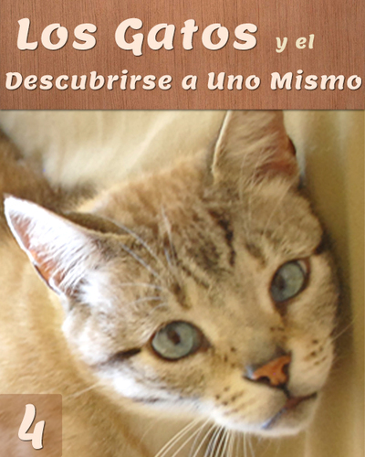 Full los gatos y el descubrirse a uno mismo parte 4