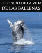 Feature thumb el sonido de la vida de las ballenas parte 1