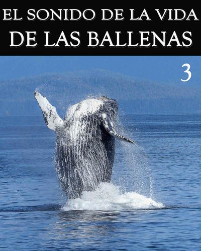 Full el sonido de la vida de las ballenas parte 3