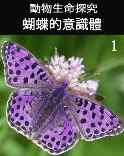 Full animal life review consciousness of the butterfly 1 ch