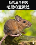 Feature thumb animal life review consciousness of the mouse 2 ch