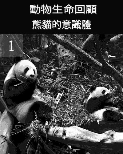 Full animal s life review consciousness of the panda 1 ch